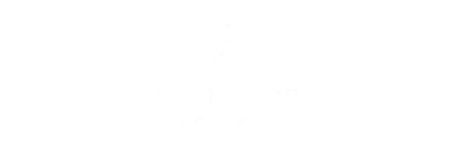 Scandere Academy